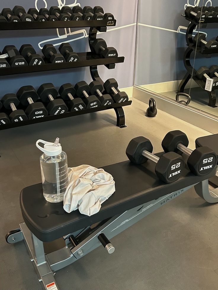 Primeros Pasos en el Gimnasio